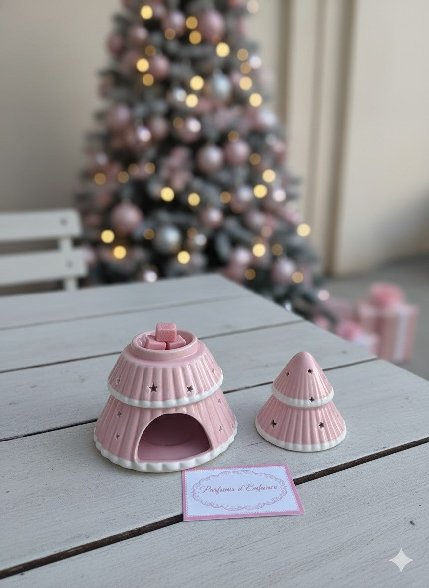 Brule parfum : SAPIN